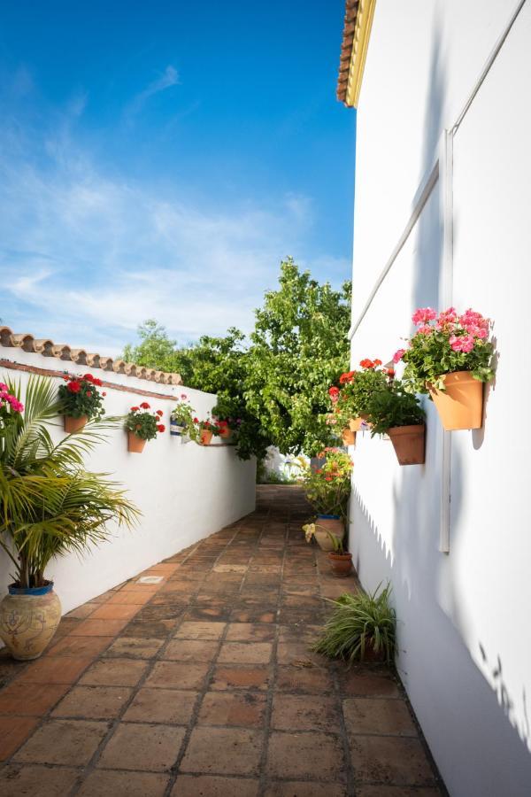 Hostal Cabo Roche Кониль-де-ла-Фронтера Экстерьер фото