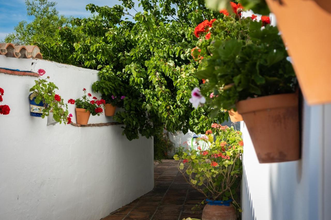 Hostal Cabo Roche Кониль-де-ла-Фронтера Экстерьер фото
